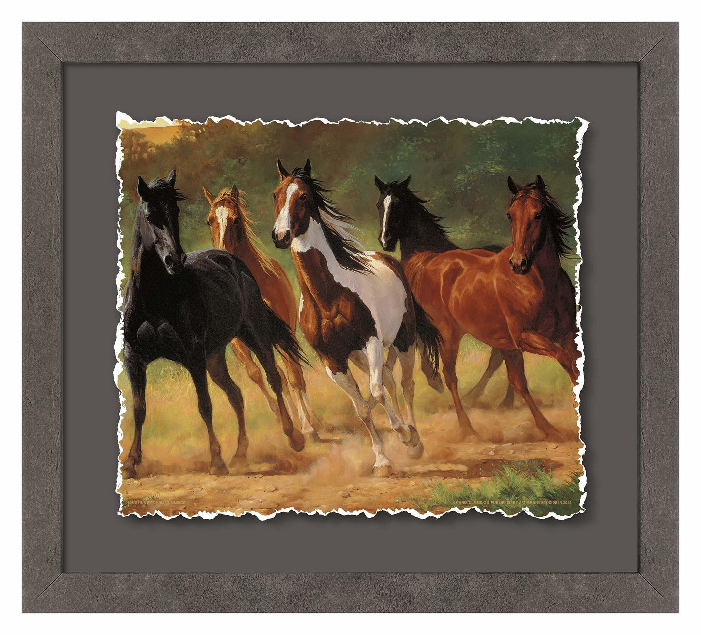 Home Run—Horses