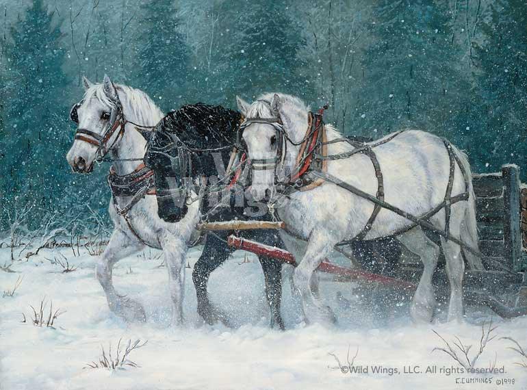December Snowfall