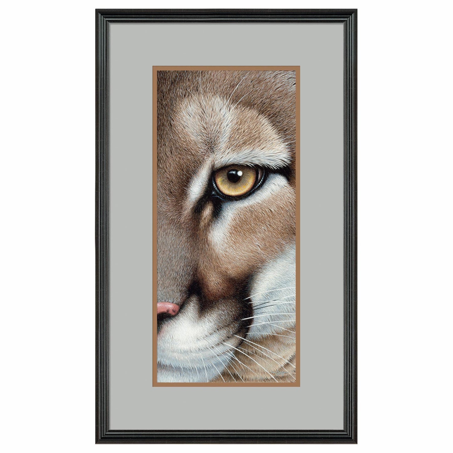 Intense - Mountain Lion Paper Print - Wild Wings
