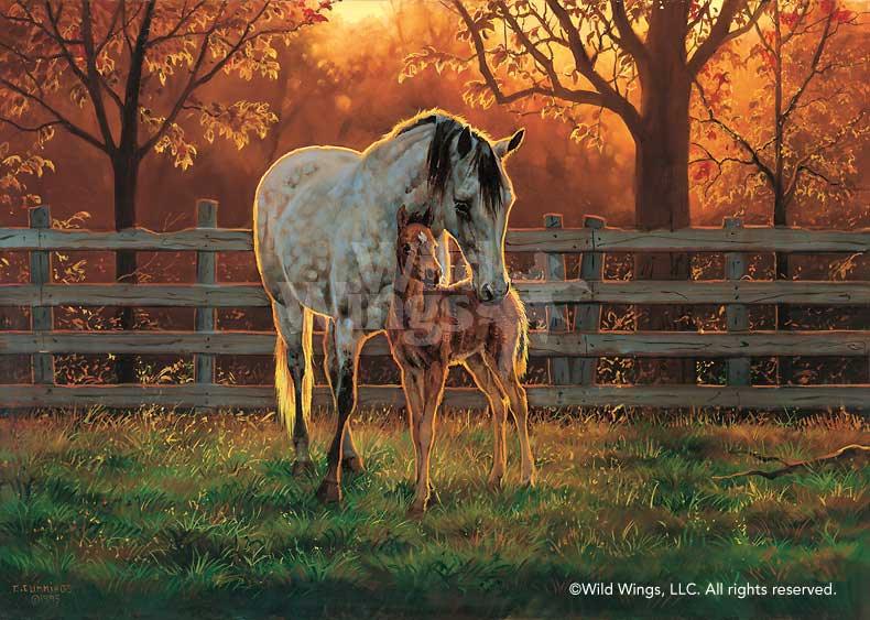 Quiet Time—Horses