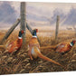 Meadow Mist—Pheasants Gallery Wrapped Canvas - Wild Wings