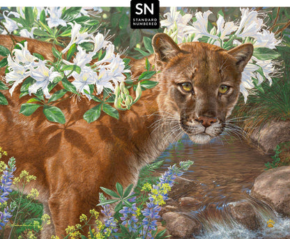 Midsummer's Dream; Standard Numbered Edition (SN)