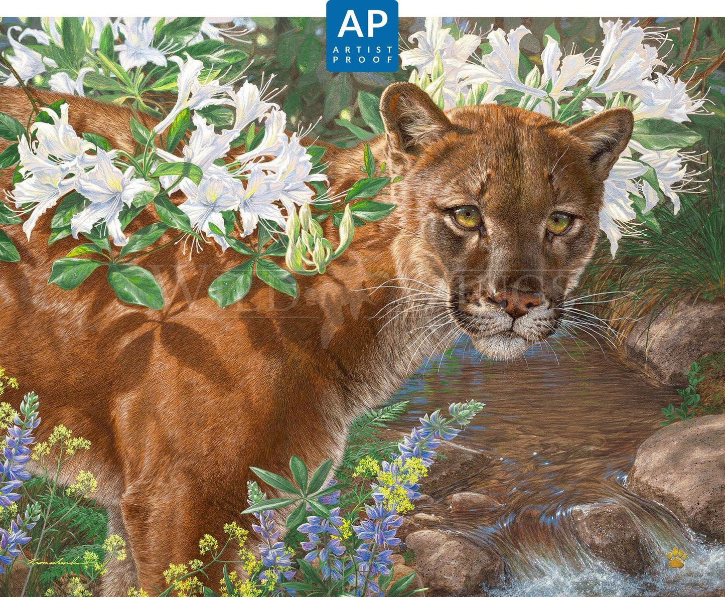 Midsummer's Dream; Artist Proof Edition (AP)