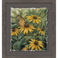 Monarch Butterfly