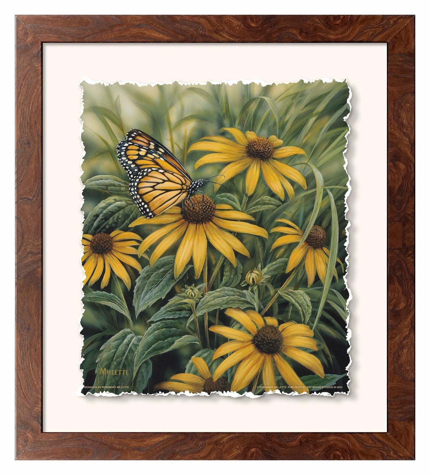 Monarch Butterfly Deckled Edge Paper Print - Wild Wings