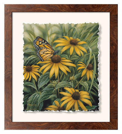 Monarch Butterfly Deckled Edge Paper Print - Wild Wings