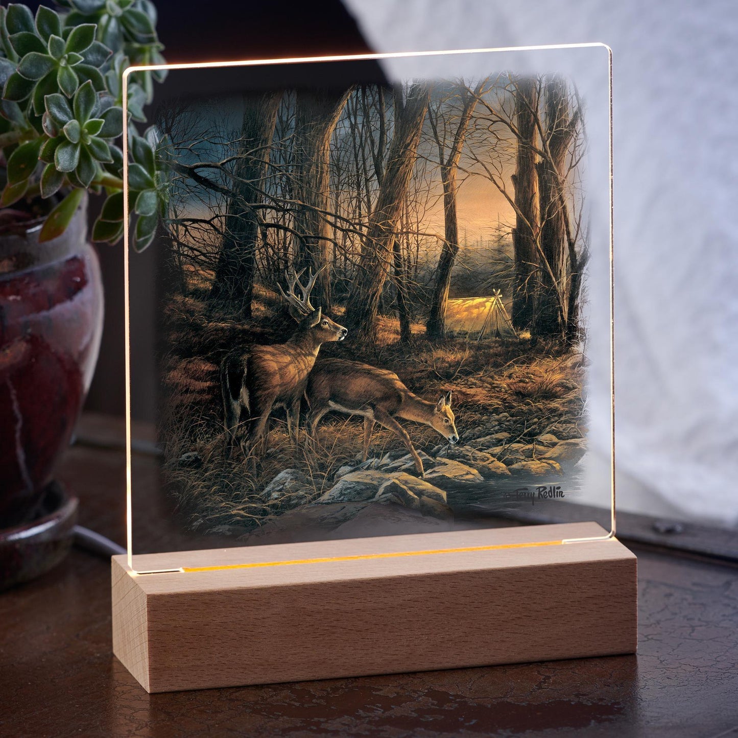 Morning Glow Acrylic Night Light - Wild Wings