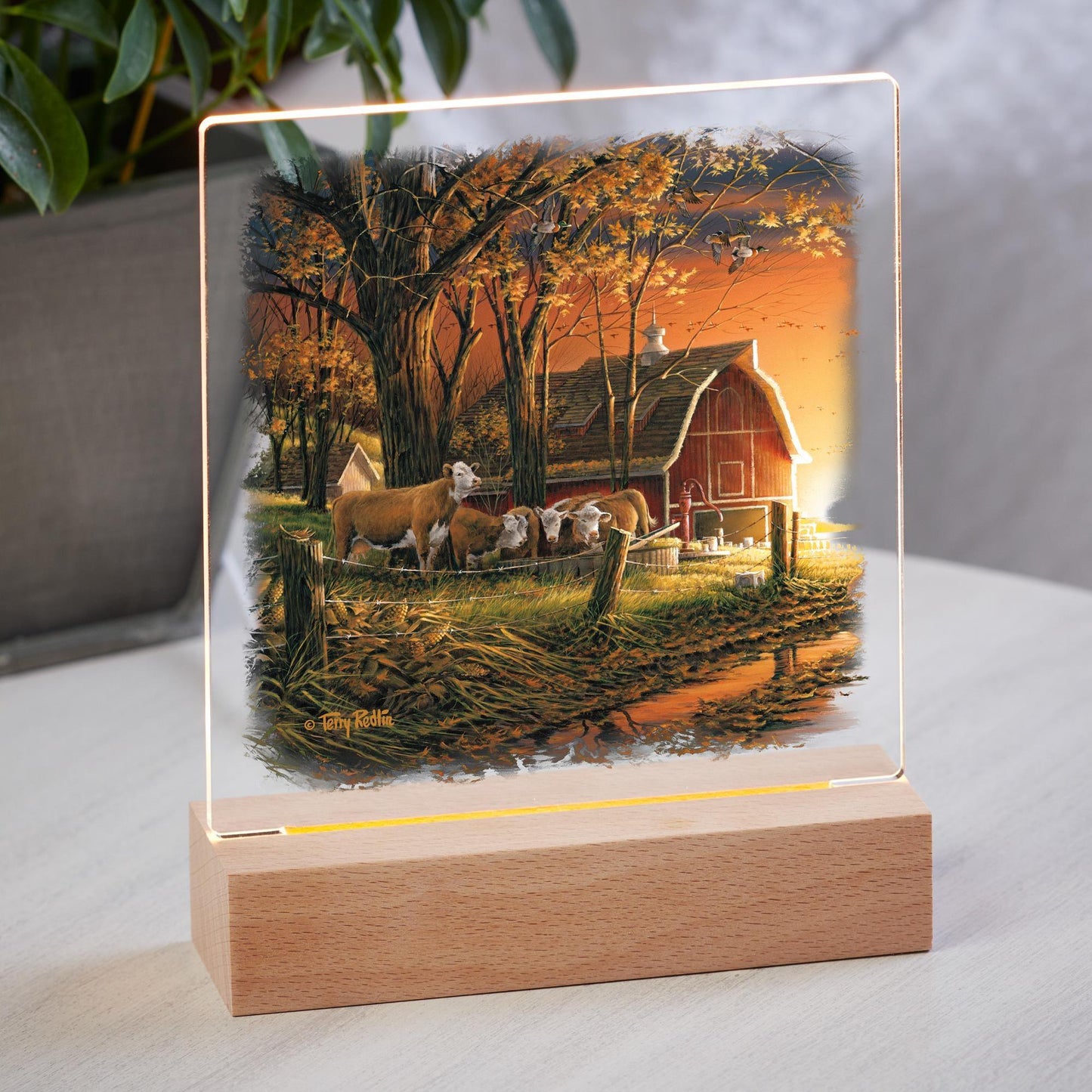 Morning Surprise Acrylic Night Light - Wild Wings
