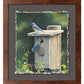 New Beginnings—Bluebirds