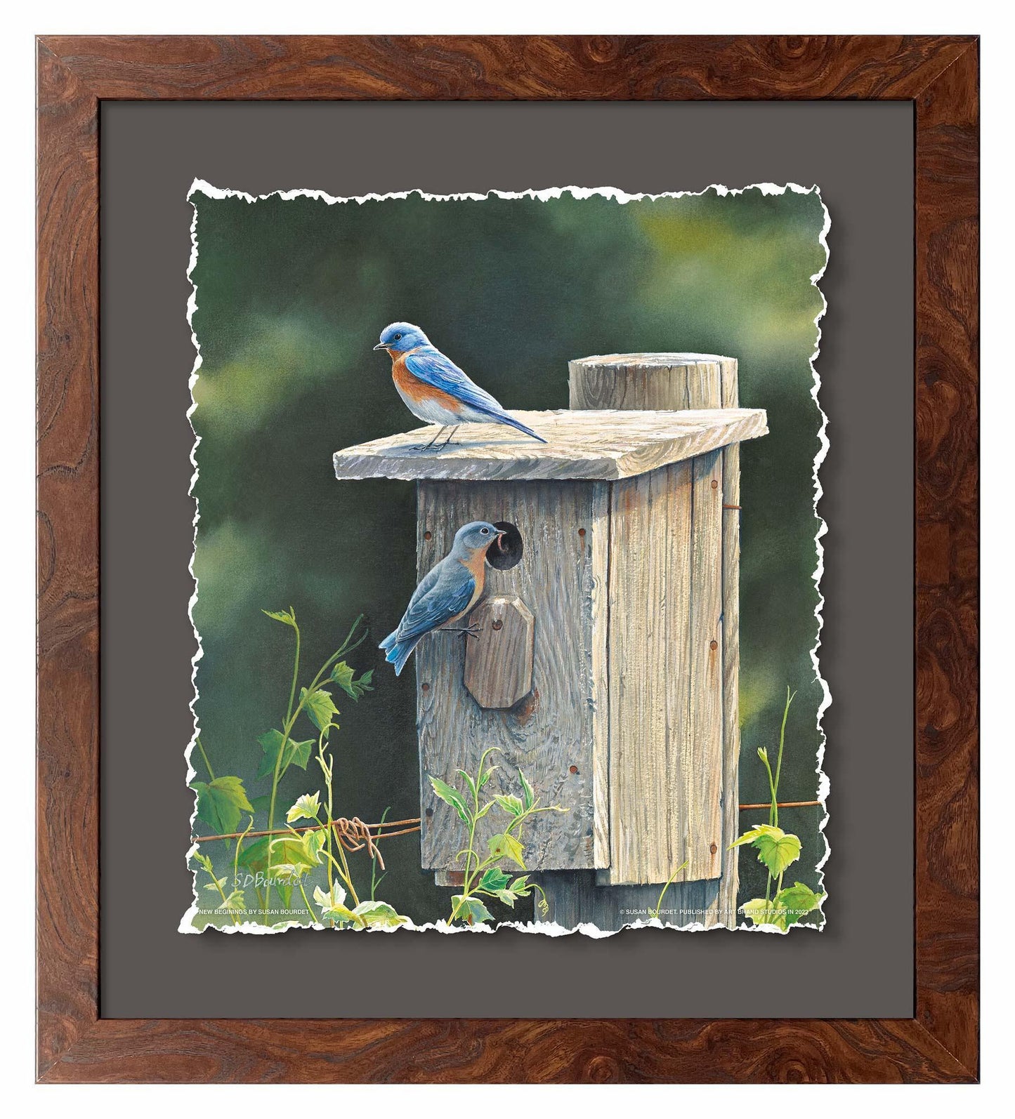 New Beginnings—Bluebirds