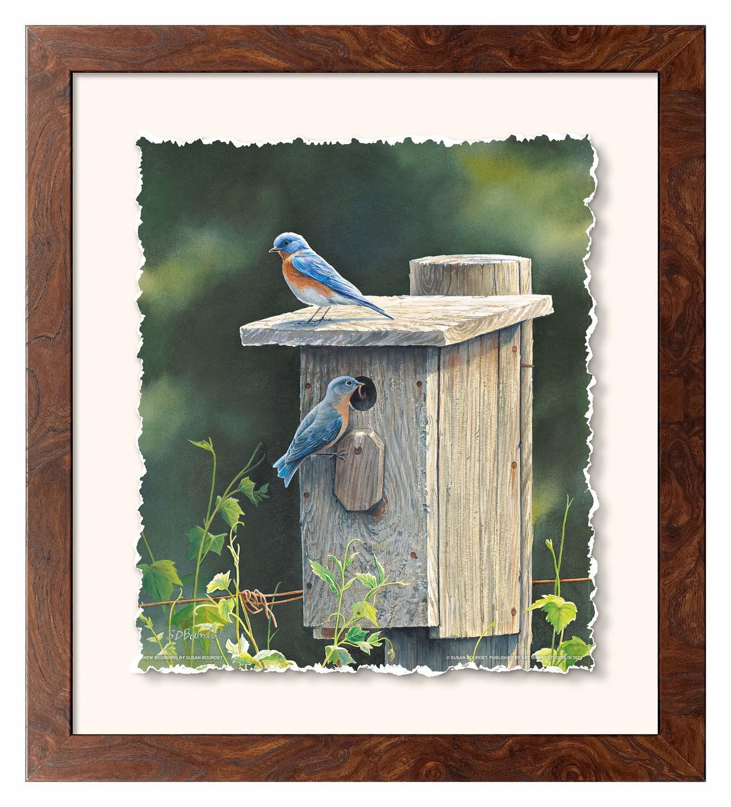 New Beginnings—Bluebirds Deckled Edge Paper Print - Wild Wings