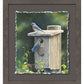 New Beginnings—Bluebirds Deckled Edge Paper Print - Wild Wings