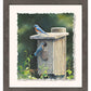 New Beginnings—Bluebirds Deckled Edge Paper Print - Wild Wings