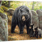 Northwoods Springtime—Black Bear Gallery Wrapped Canvas - Wild Wings