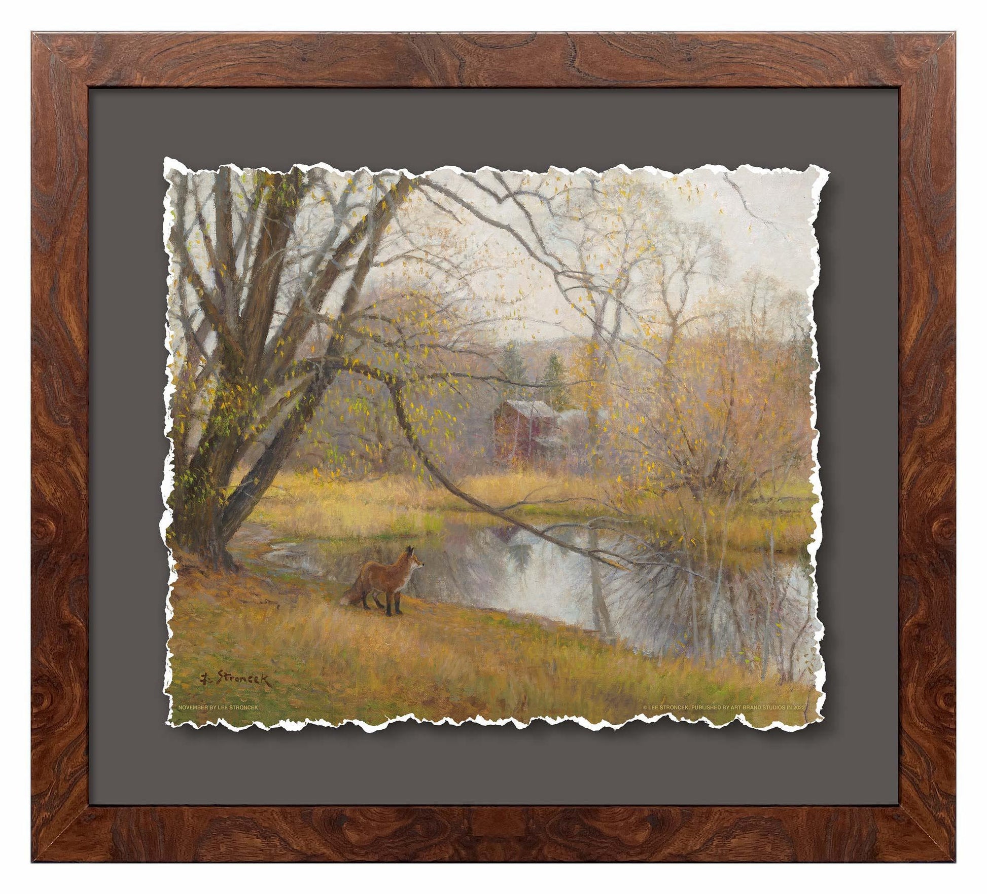 November—Red Fox Deckled Edge Paper Print - Wild Wings