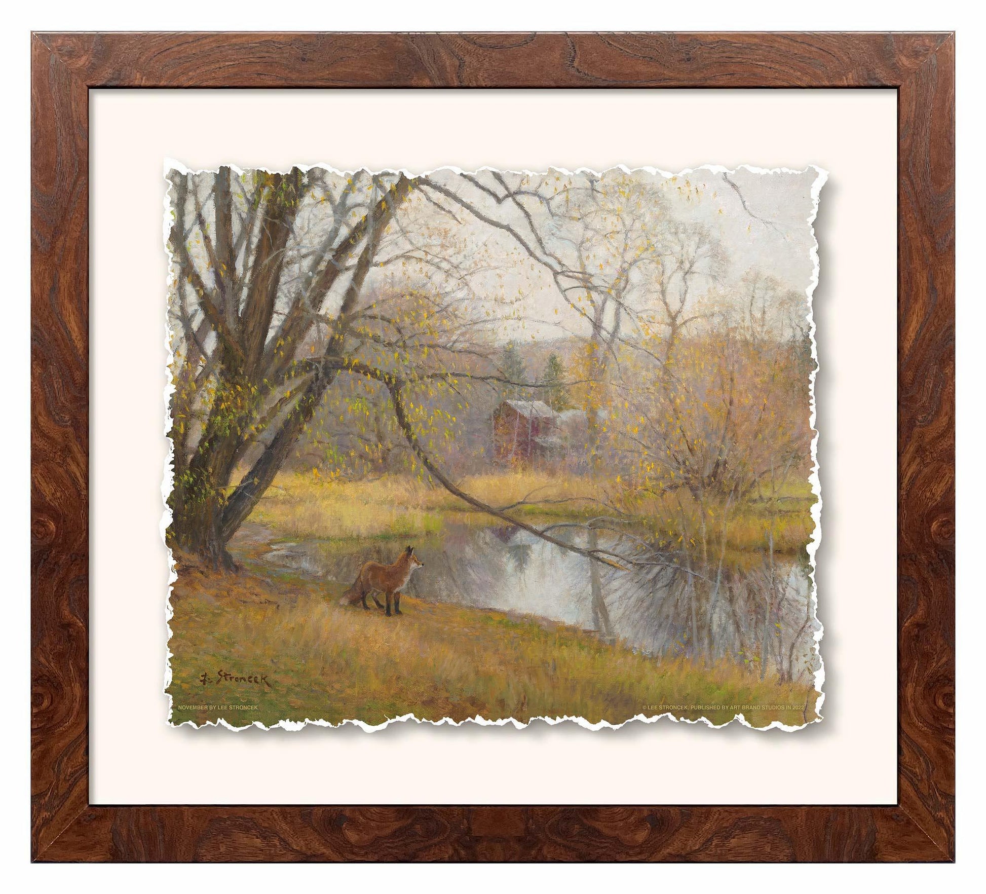 November—Red Fox Deckled Edge Paper Print - Wild Wings