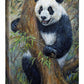 Peek-a-Boo—Panda Gallery Wrapped Canvas - Wild Wings