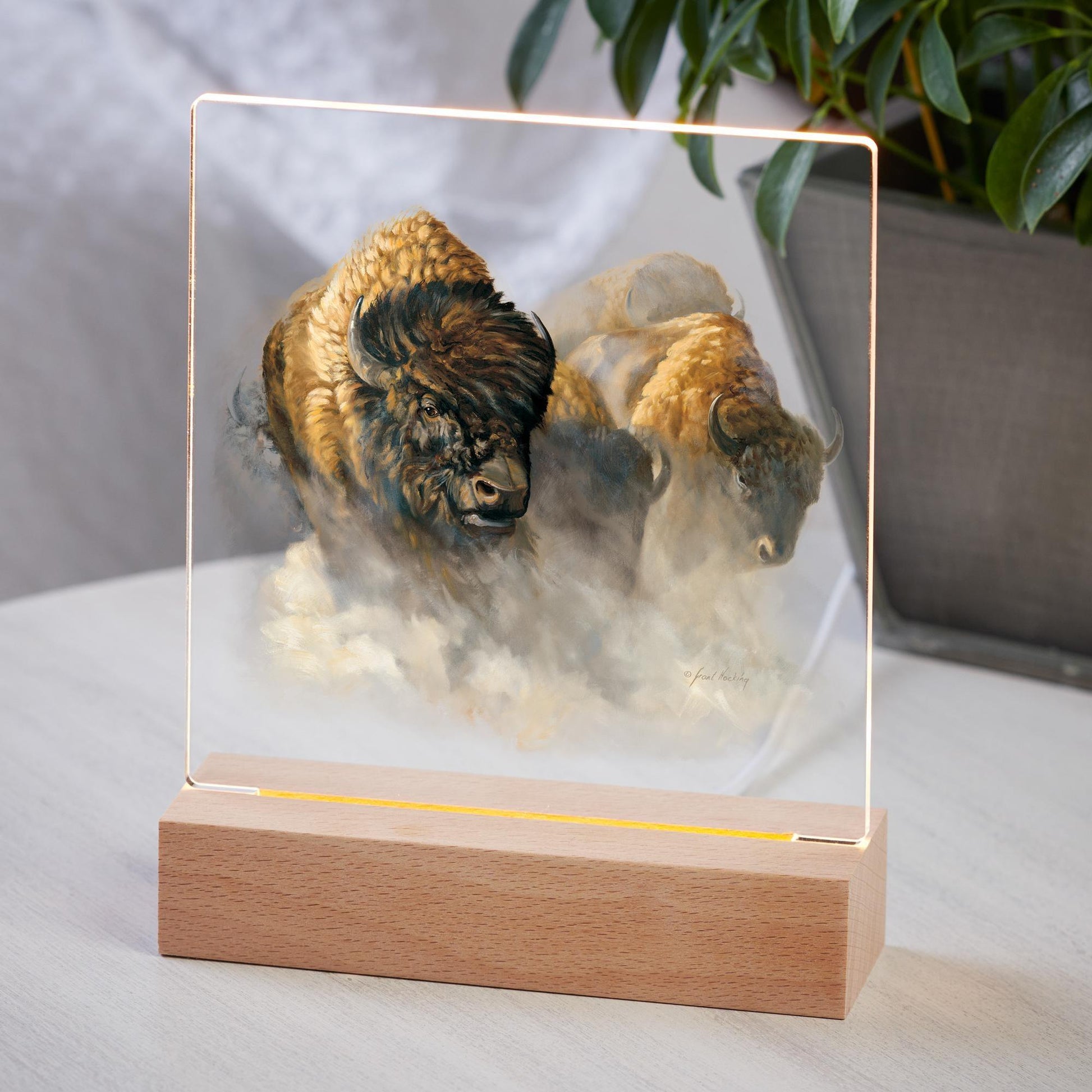 Phantoms of the Plains—Bison Acrylic Night Light - Wild Wings