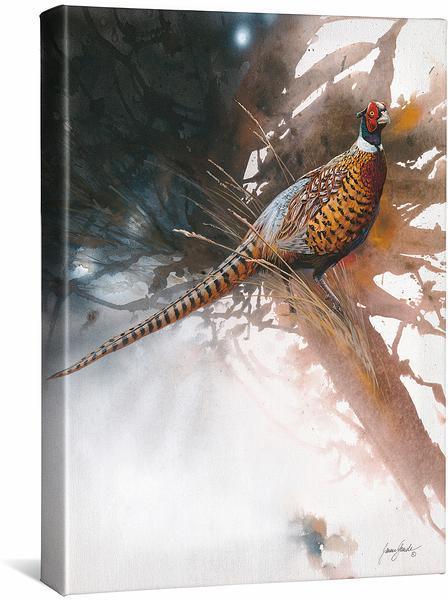 Pheasant Gallery Wrapped Canvas - Wild Wings