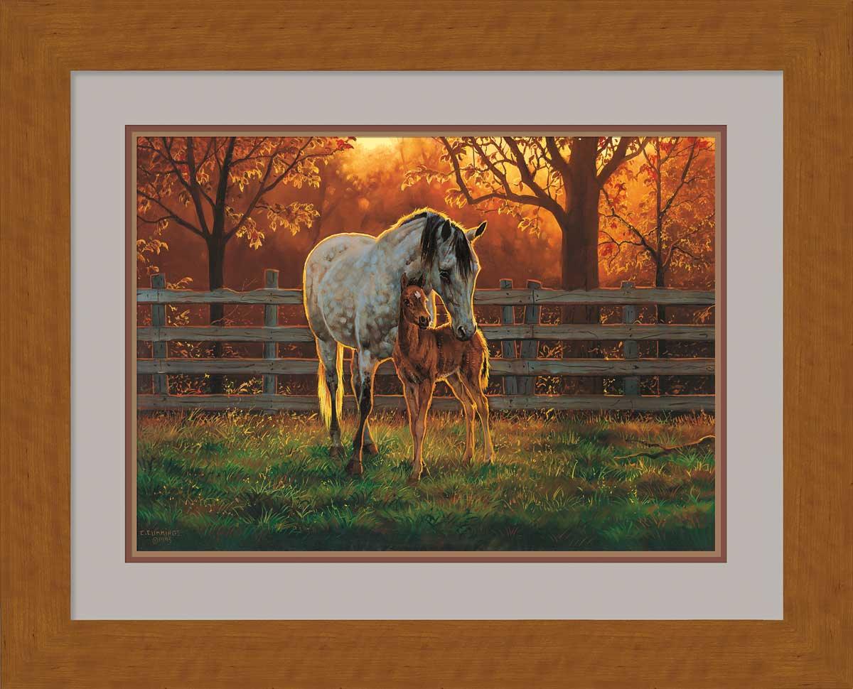 Quiet Time—Horses Art Collection - Wild Wings