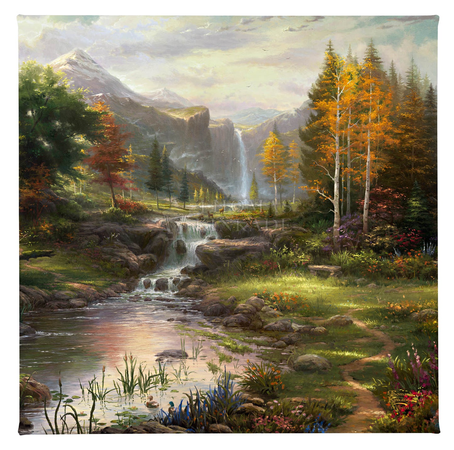 reflfm_95529_f.jpg