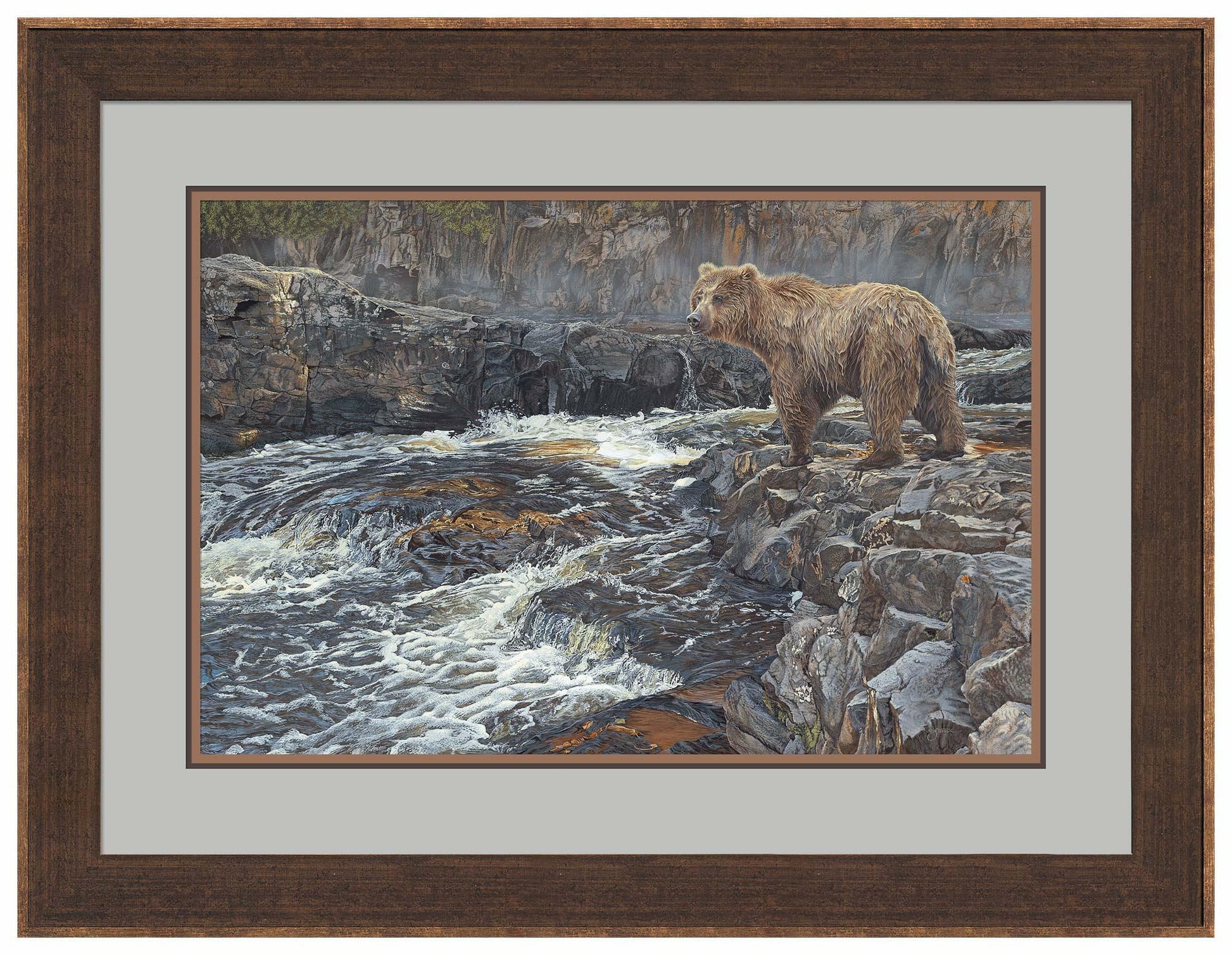 River Hunter—Grizzly Bear Limited Edition Paper Print - Wild Wings