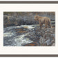 River Hunter—Grizzly Bear Limited Edition Paper Print - Wild Wings