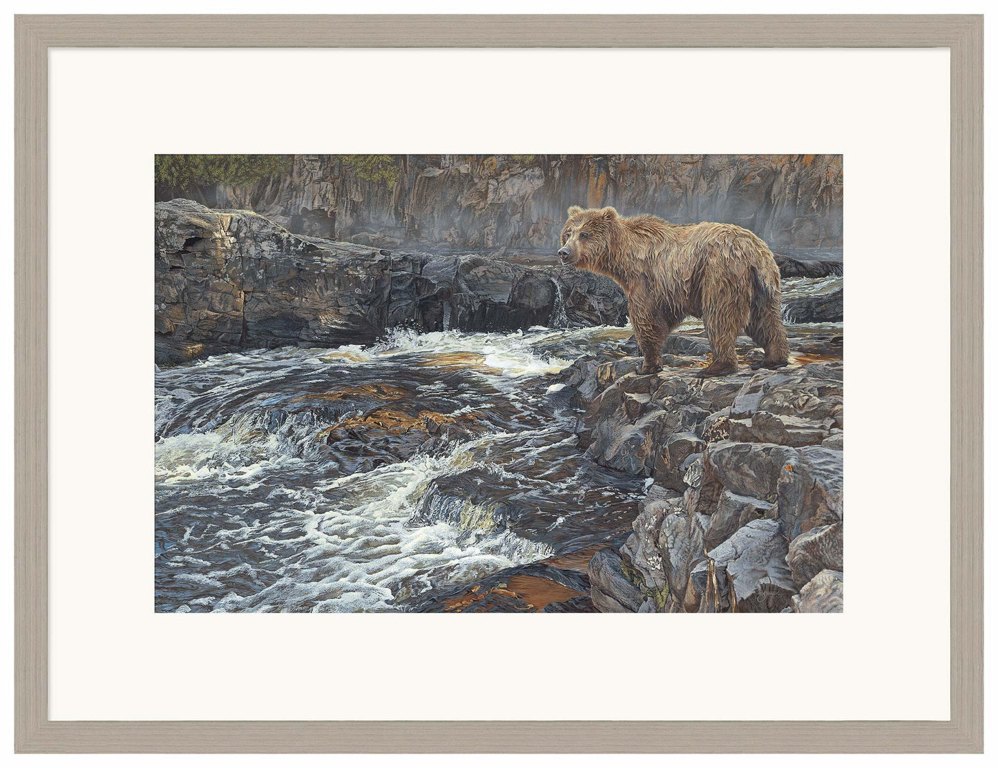 River Hunter—Grizzly Bear - Limited Edition Paper
