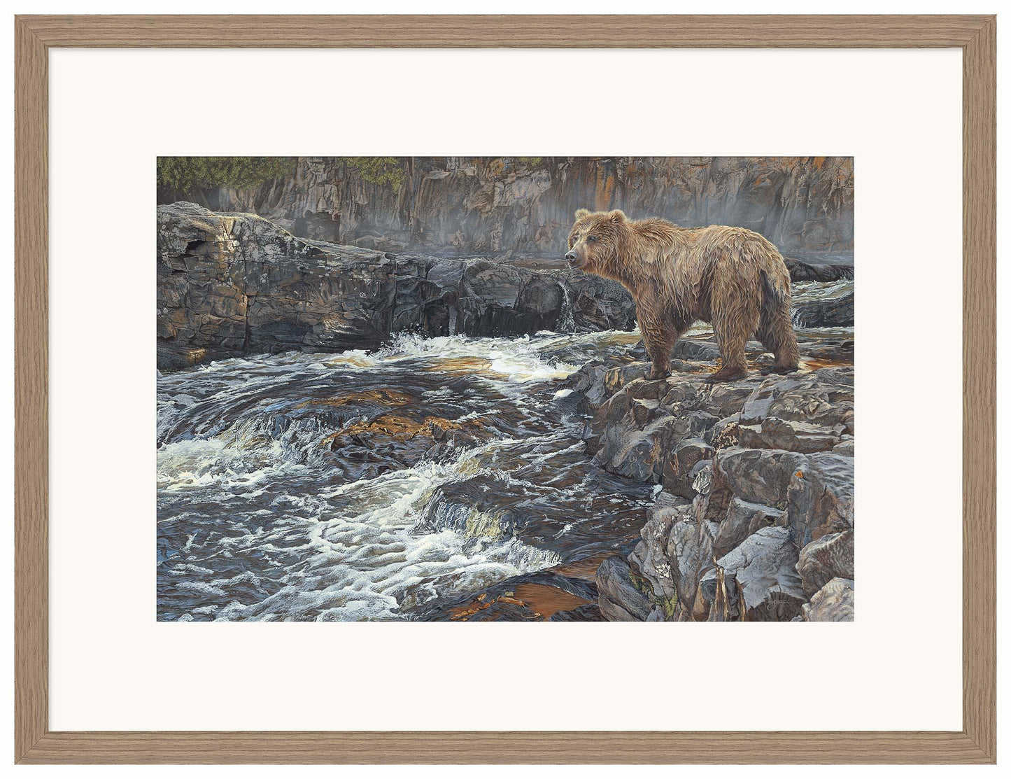 River Hunter—Grizzly Bear - Limited Edition Paper