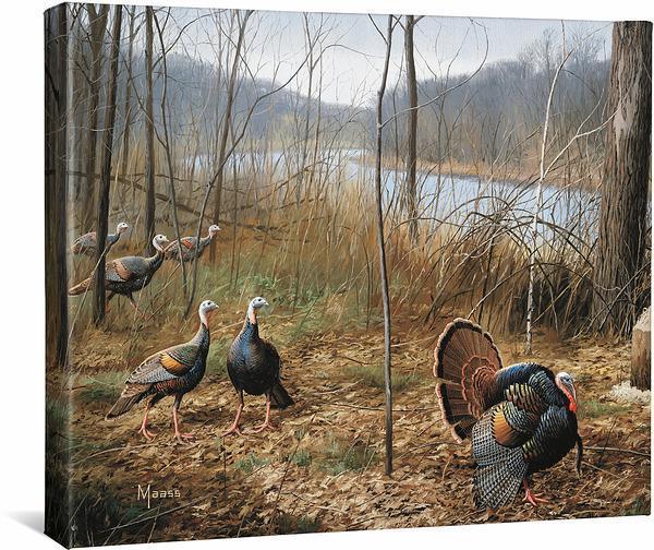 River's Edge Courtship—Turkeys Gallery Wrapped Canvas - Wild Wings