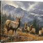 Royal Mist—Elk Gallery Wrapped Canvas - Wild Wings