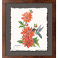 Ruby Throat & Dahlia Deckled Edge Paper Print - Wild Wings