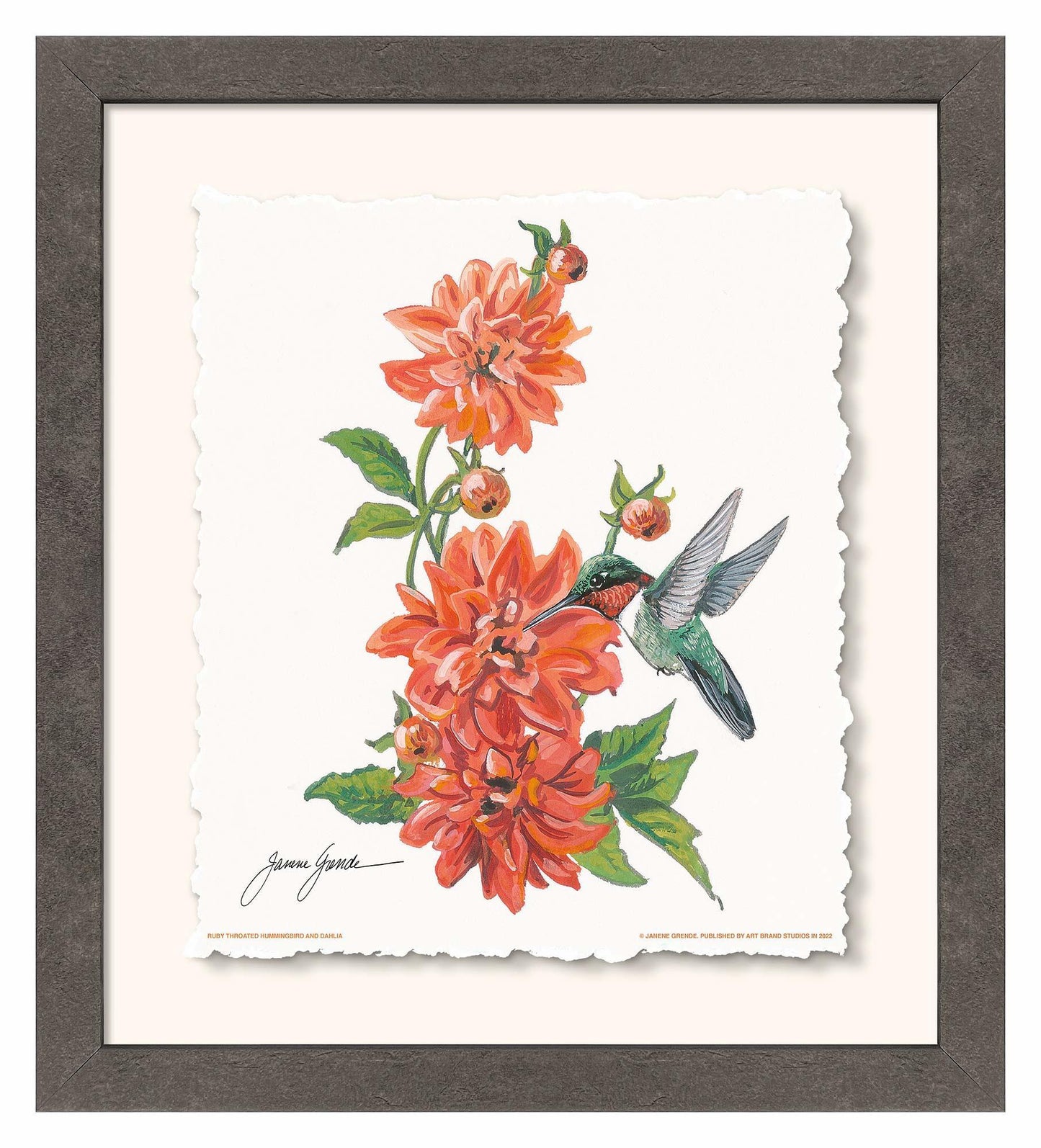 Ruby Throat & Dahlia