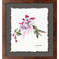 Ruby Throat & Fuschia Deckled Edge Paper Print - Wild Wings