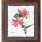 Ruby Throat & Honeysuckle Deckled Edge Paper Print - Wild Wings