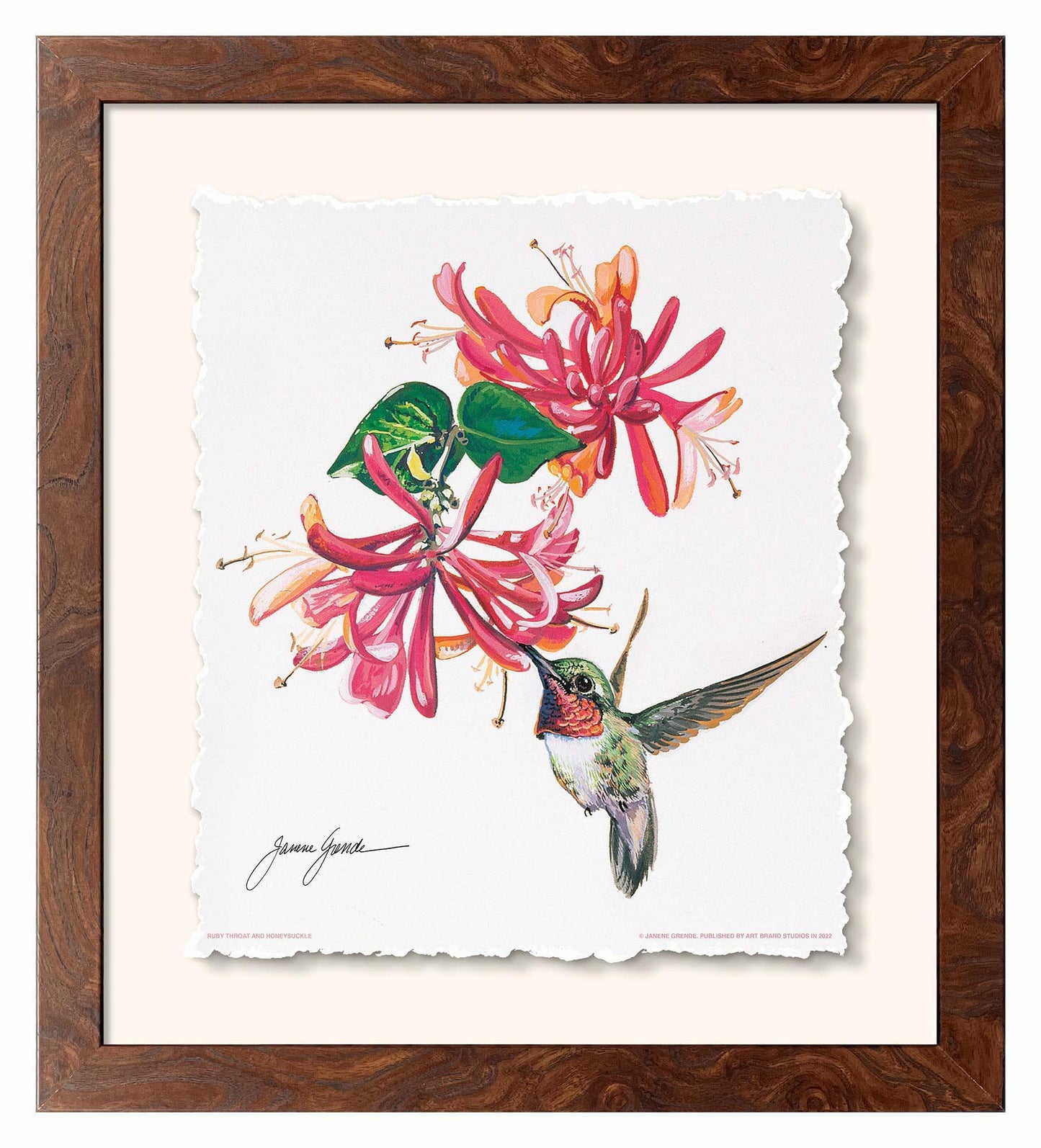 Ruby Throat & Honeysuckle Deckled Edge Paper Print - Wild Wings