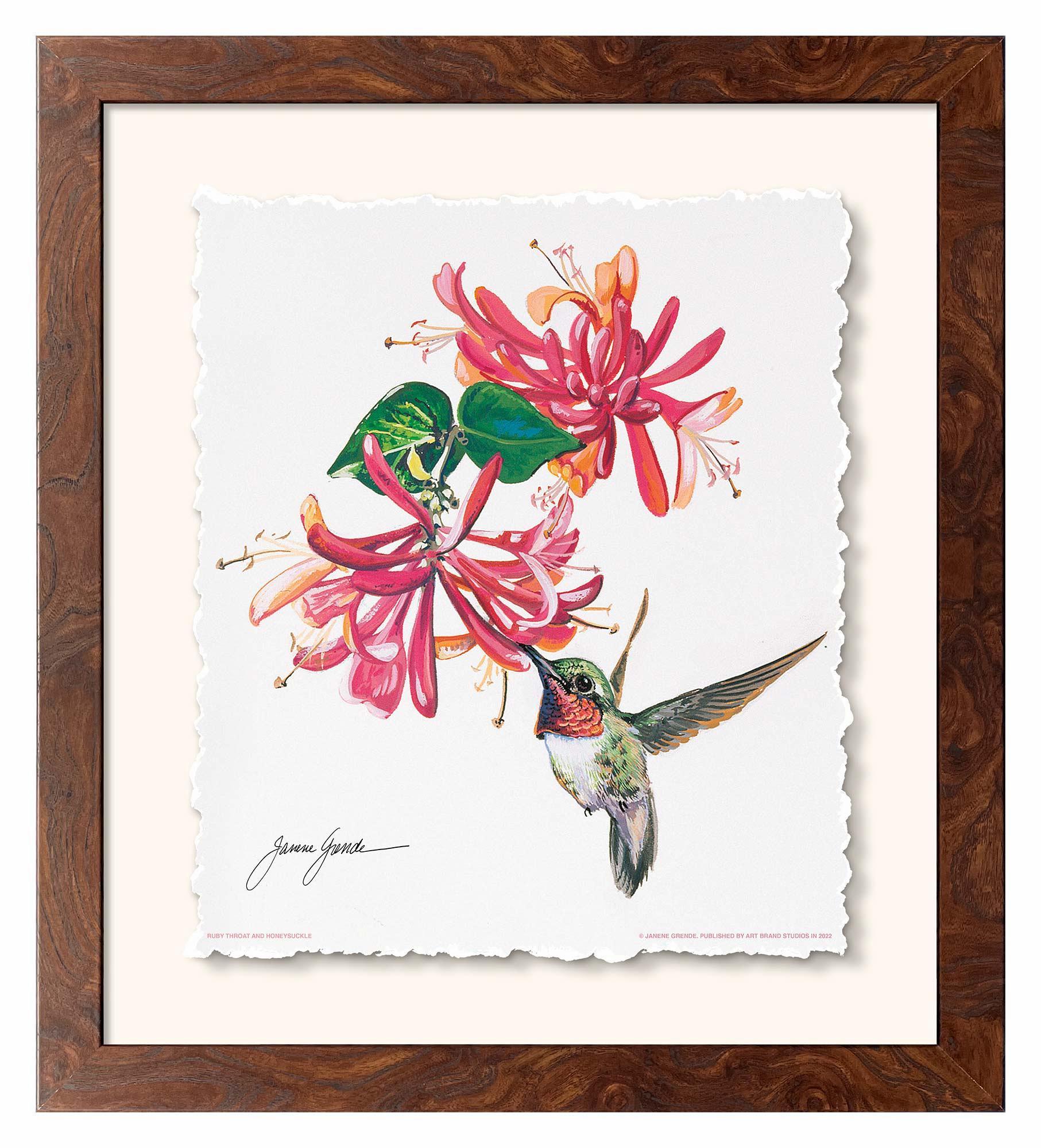 Ruby Throat & Honeysuckle Deckled Edge Paper Print - Wild Wings