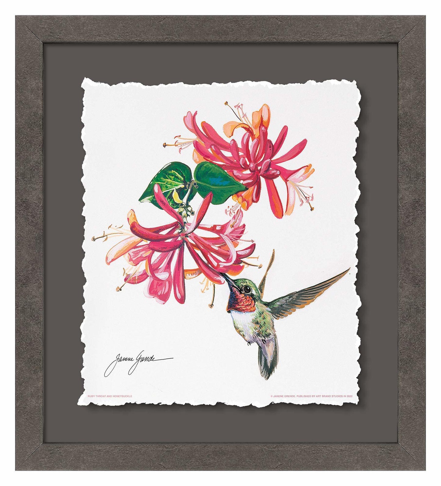 Ruby Throat & Honeysuckle