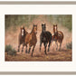 Run Time—Horses