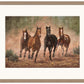 Run Time—Horses