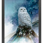Snow Storm—Snowy Owl Art Print - Wild Wings