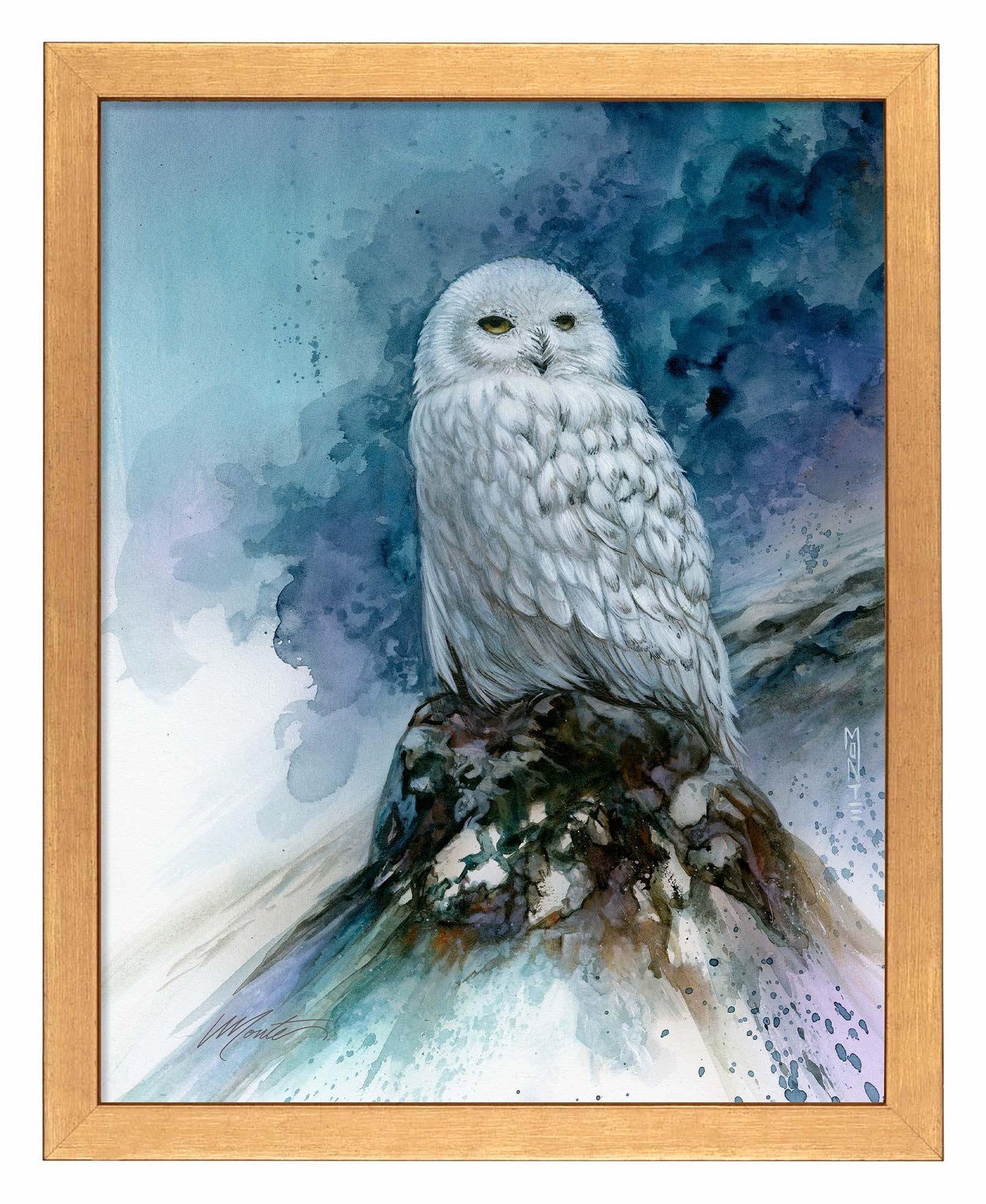 Snow Storm—Snowy Owl