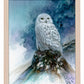 Snow Storm—Snowy Owl Art Print - Wild Wings