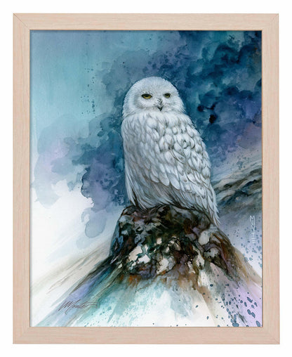 Snow Storm—Snowy Owl Art Print - Wild Wings