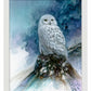 Snow Storm—Snowy Owl Art Print - Wild Wings