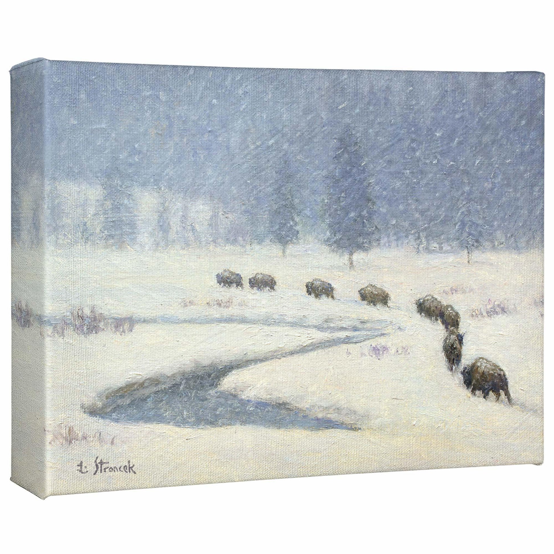 Snowbound—Bison Gallery Wrapped Canvas - Wild Wings