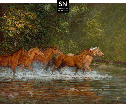 South Fork Summer; Standard Numbered Edition (SN)
