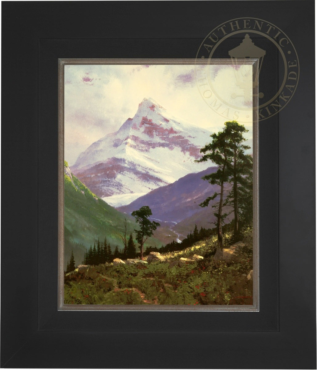 spralp_16x20_citblk7.jpg