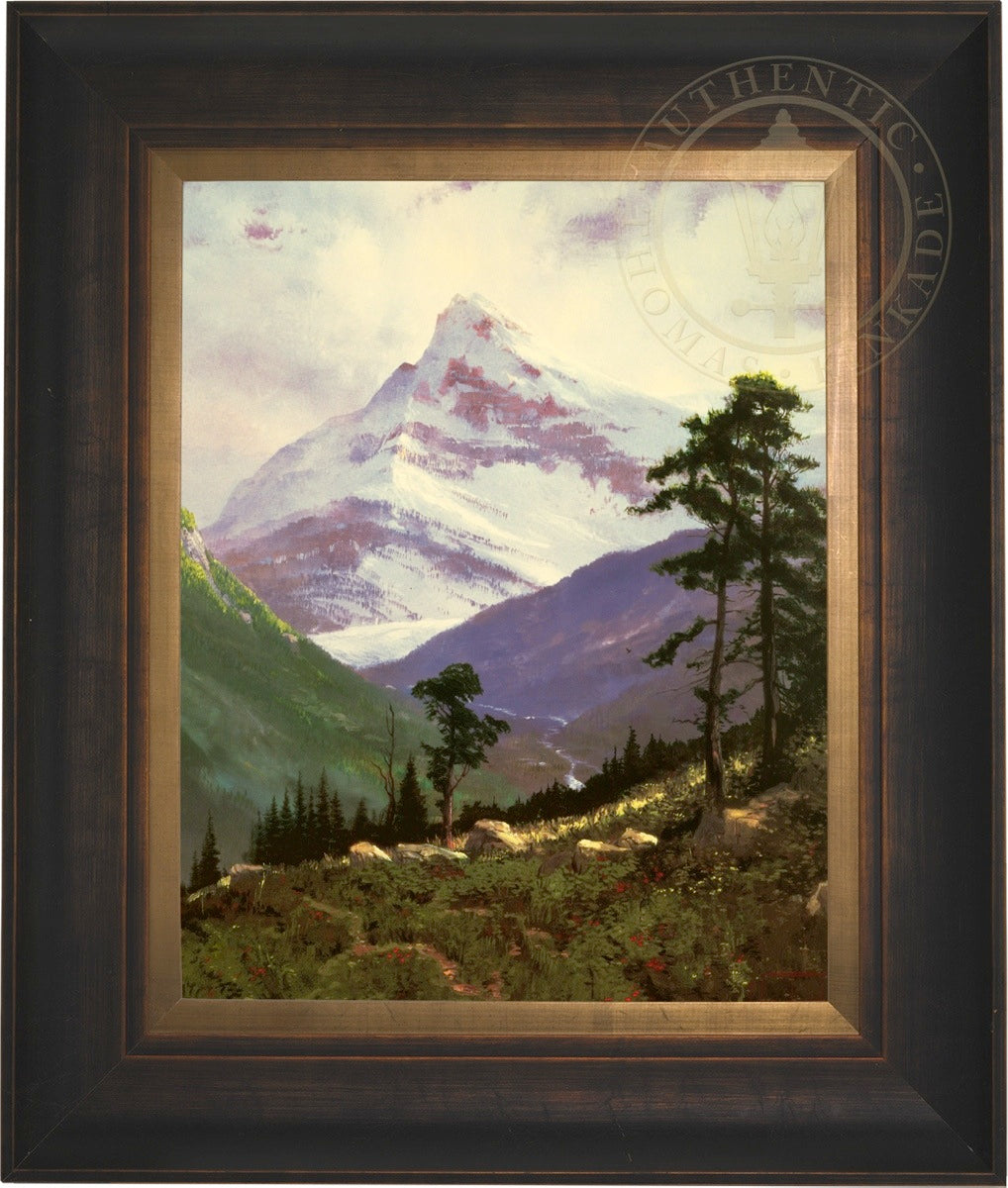 spralp_16x20_estbzn7.jpg