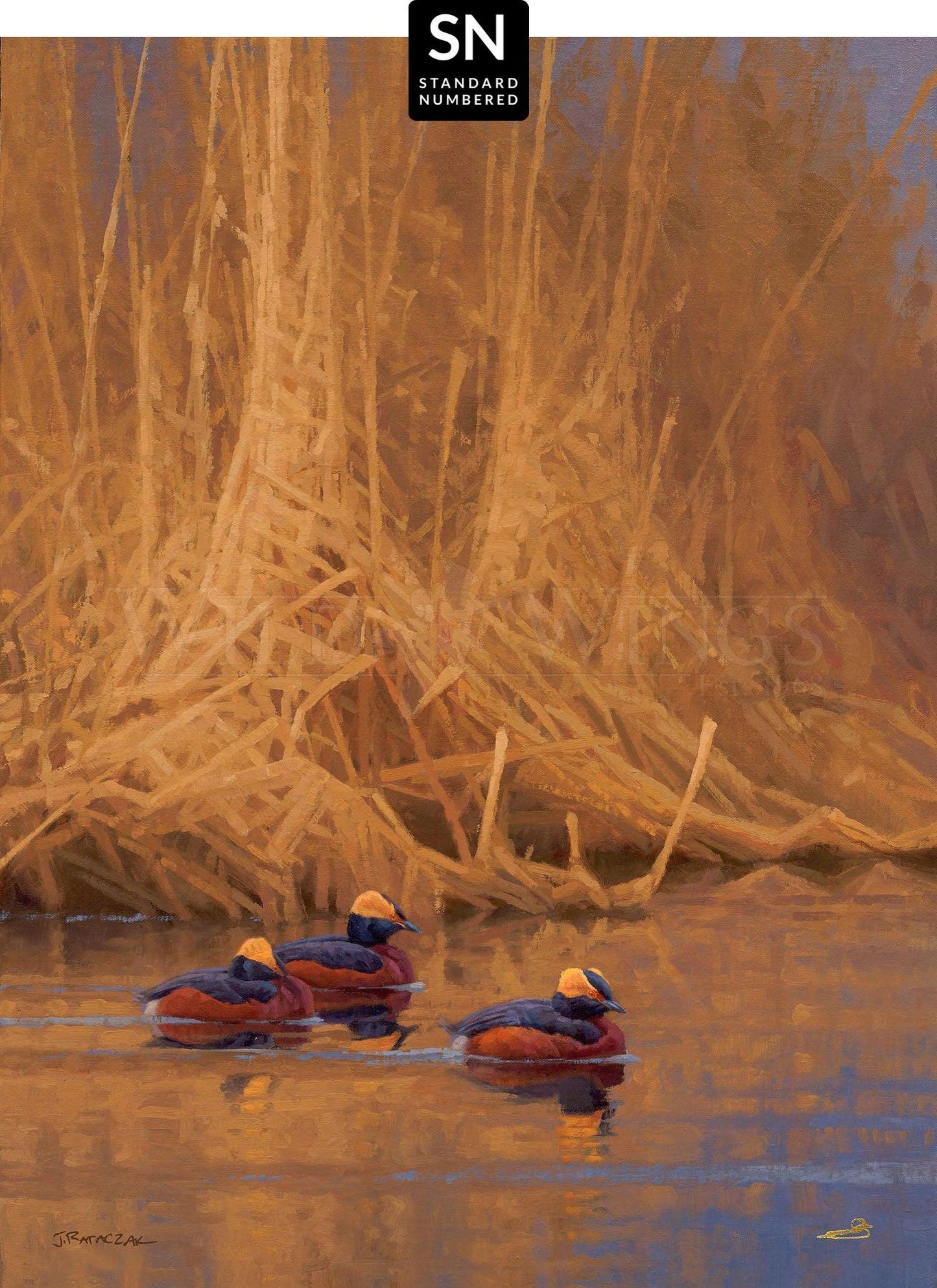 Spring Royals—Horned Grebes; Standard Numbered Edition (SN)